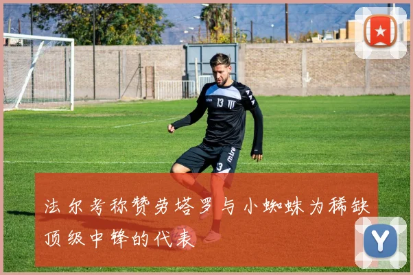 法尔考称赞劳塔罗与小蜘蛛为稀缺顶级中锋的代表
