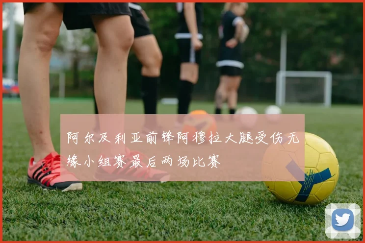 阿尔及利亚前锋阿穆拉大腿受伤无缘小组赛最后两场比赛
